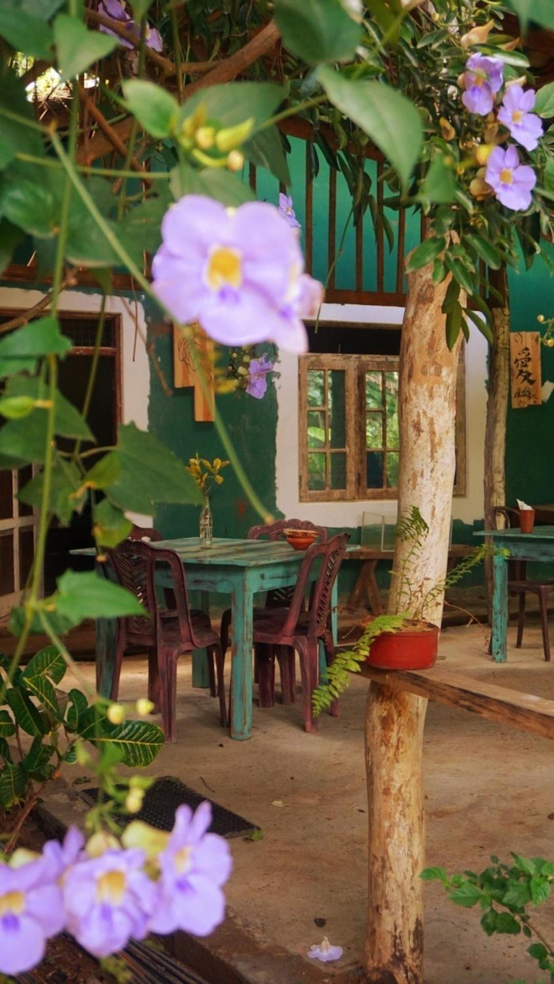 Sigiri Liya Rest Hotel Szigirija Kültér fotó